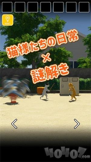 猫咪日常逃脱