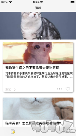 小奶喵社区