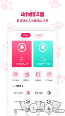 宠物翻译器
