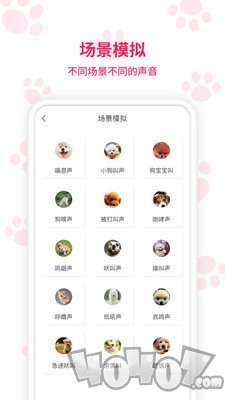 宠物翻译器