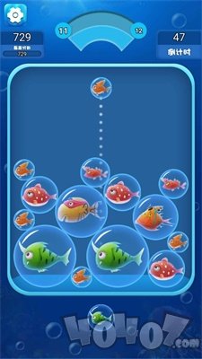 海洋泡泡鱼