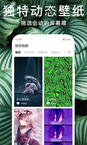 灵猫桌面壁纸截图