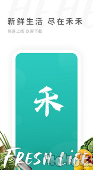 禾禾网