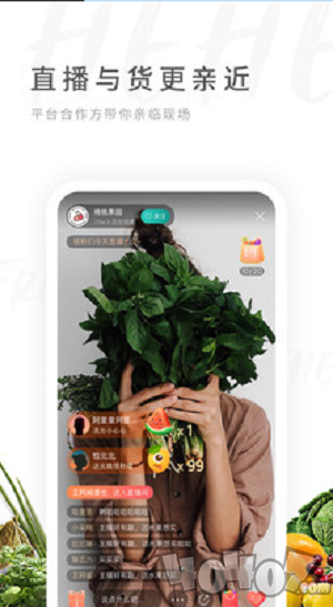 禾禾网