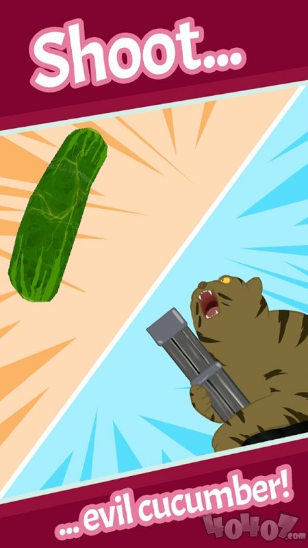 猫咪拍黄瓜