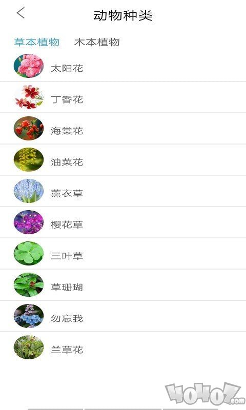 多米植物管家