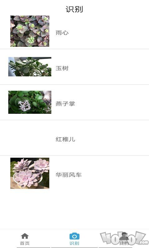 多米植物管家