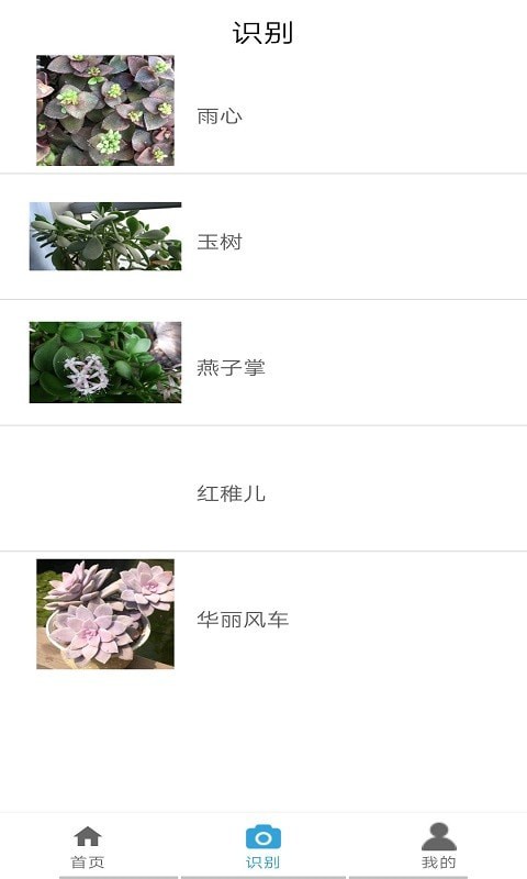 多米植物管家截图