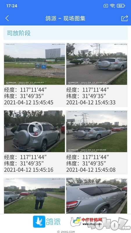 鸽派监赛版
