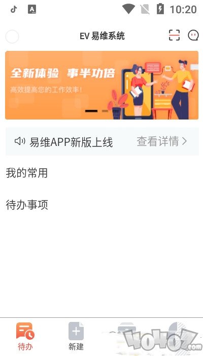 庞械易维