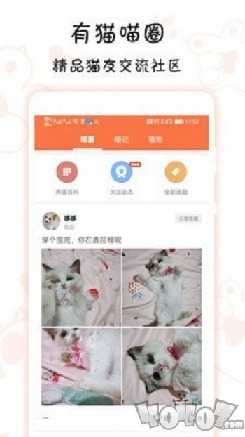 领喵