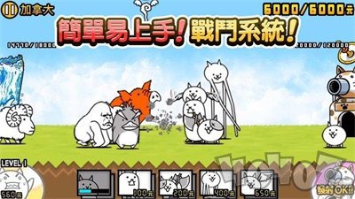 猫咪战争