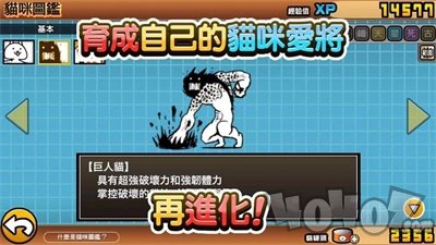 猫咪战争