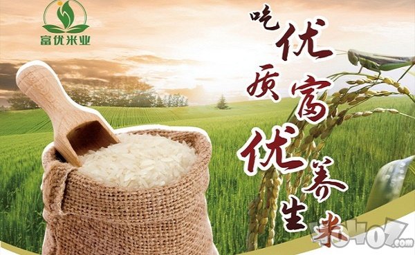 富优米业