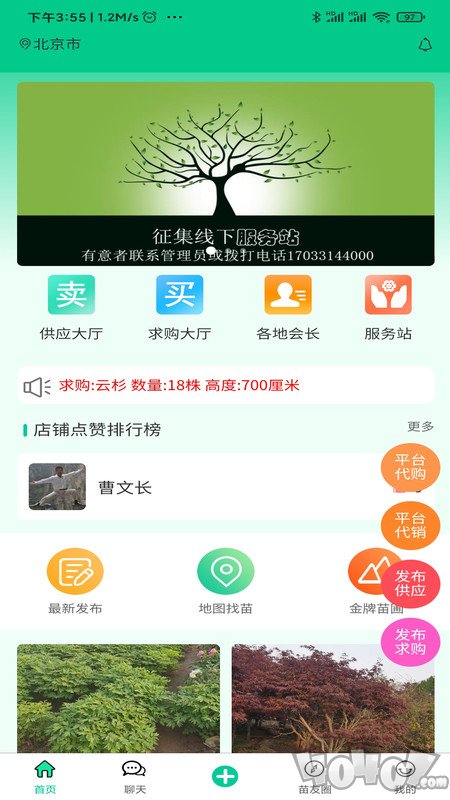 苗木人