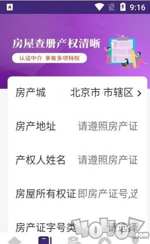 蓝白猫