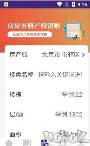 蓝白猫