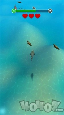 海底与猎杀