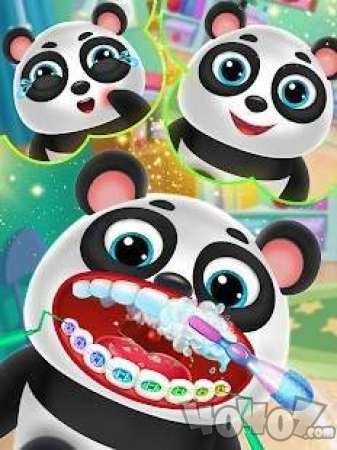 宠物牙科医生