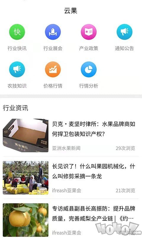云果