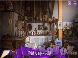 找一只猫