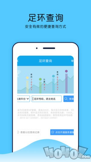 中鸽网