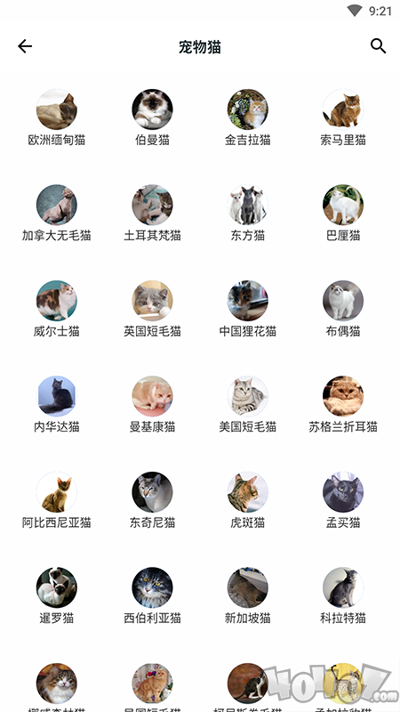 动植物大全