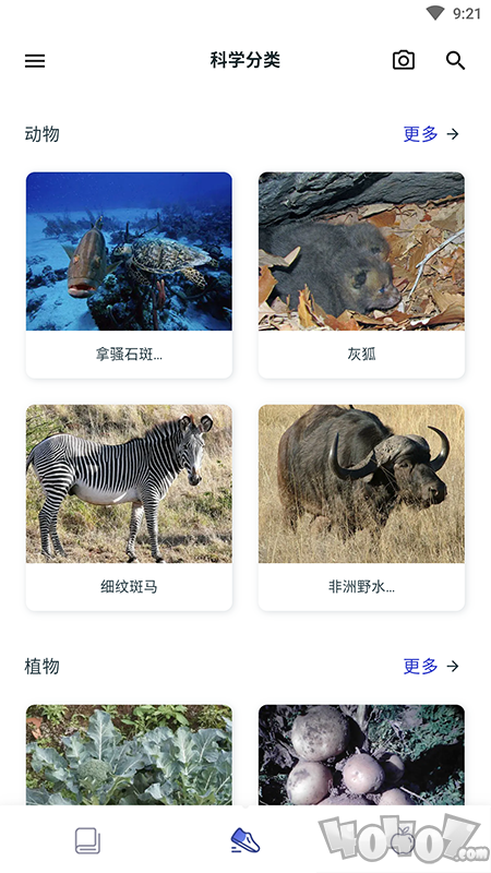 动植物大全