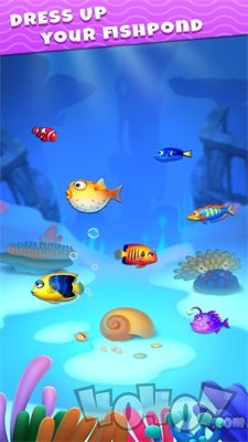 海洋块拼图