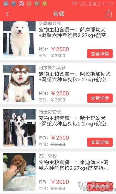 艾宠计划