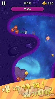 开心飞弹猫