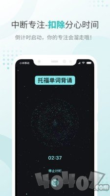 飞鱼专注