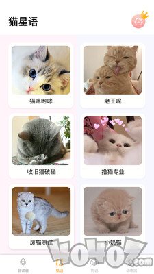 翻译猫语