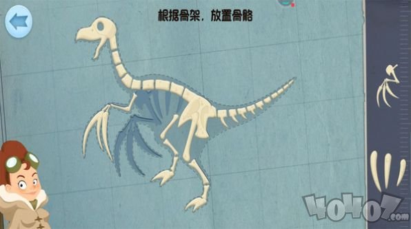 模拟恐龙拼装