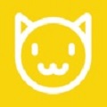 猫猫生活圈
