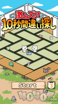 10秒找猫猫