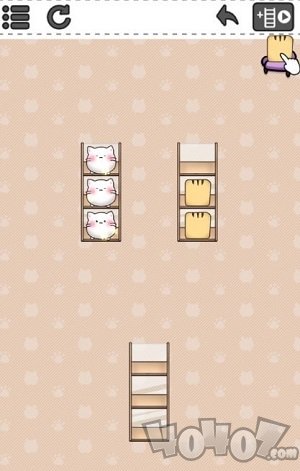猫猫喜欢沙发