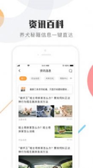 K9犬网截图