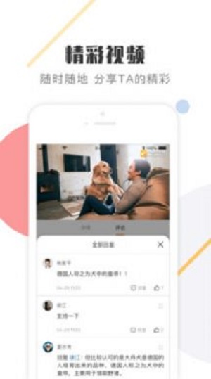 K9犬网截图