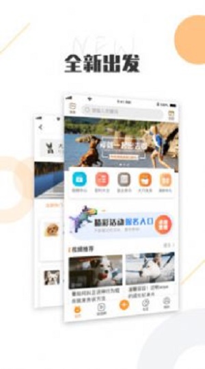 K9犬网截图