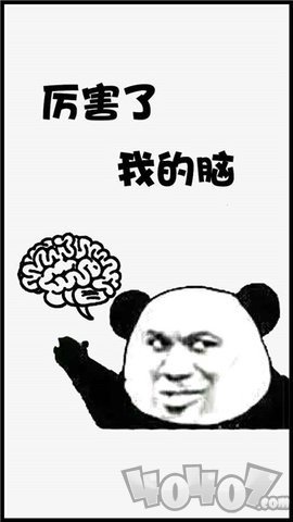 厉害了我的脑