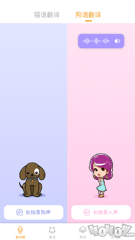 猫语翻译官