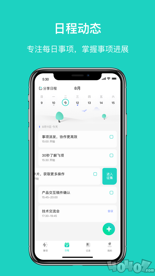 飞项