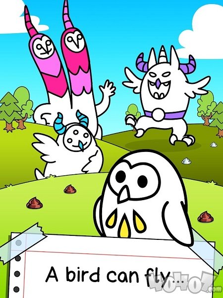 鸟类进化