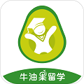 牛油果留学