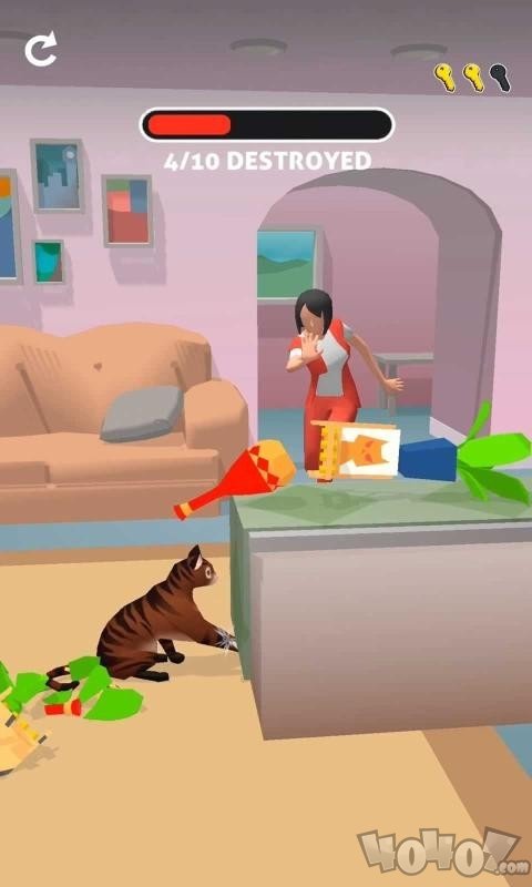 猫咪加比
