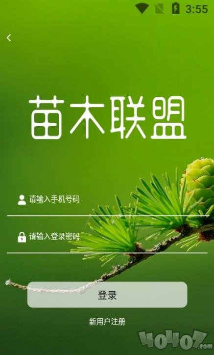 苗木联盟