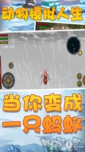 动物模拟人生