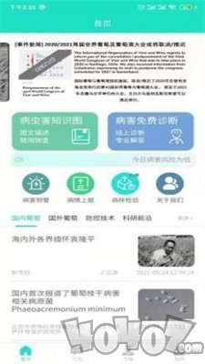 葡萄医生