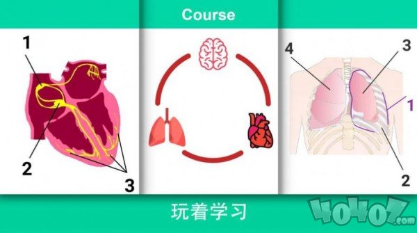 复生真实的医疗模拟器